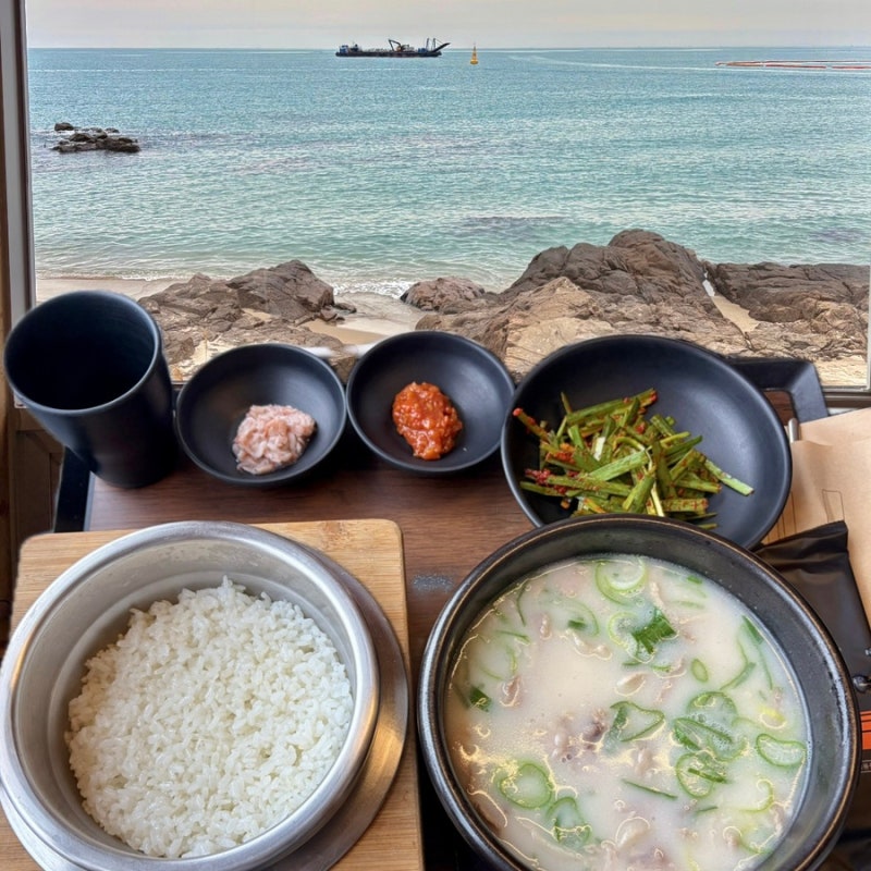 [기장 애견동반 맛집 | 고스락 돼지국밥 ] 강아지와 함께 갈 수 있는 오션뷰 돼지국밥집 고스....