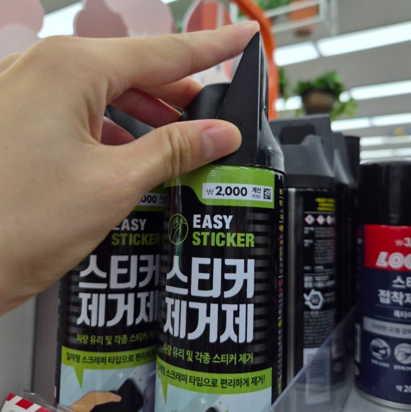 구경만 하려다 대차게 실패함 다이소에서 결국 또 사온 3가지
