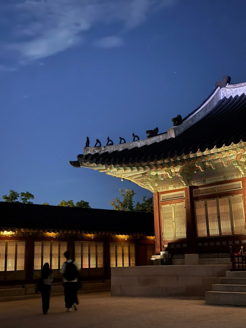 2026 경복궁 야간개장 관람 후기 | 경복궁 야간개장 티켓팅 꿀팁