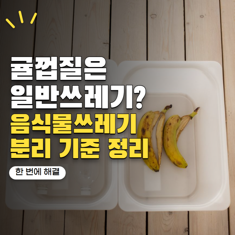 귤껍질 버리는법 음식물쓰레기일까? 과일껍질 분리배출 한 번에 정리
