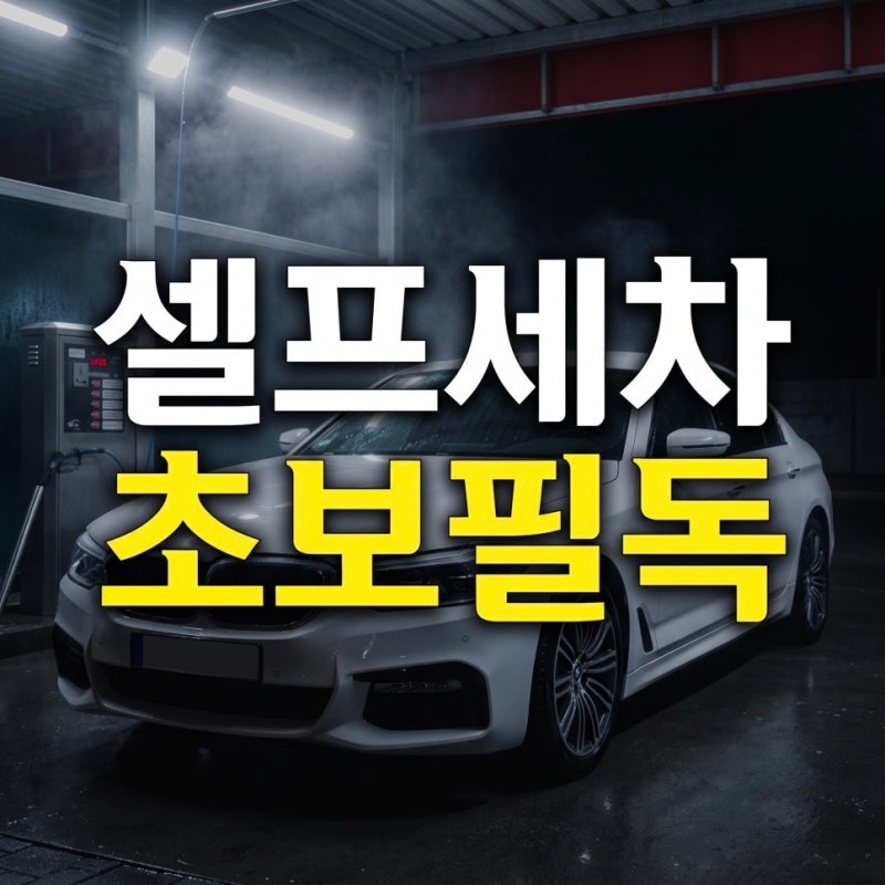 셀프 세차 순서와 초보 실수 고압수 전 프리워시 불리기 해야 하는 이유