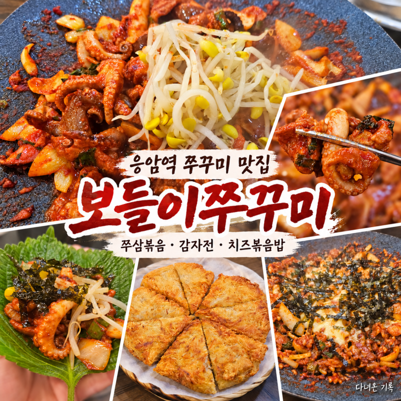 은평구 응암역 쭈꾸미 맛집 [보들이쭈꾸미] | 쭈삼볶음,감자전,치즈볶음밥 후기