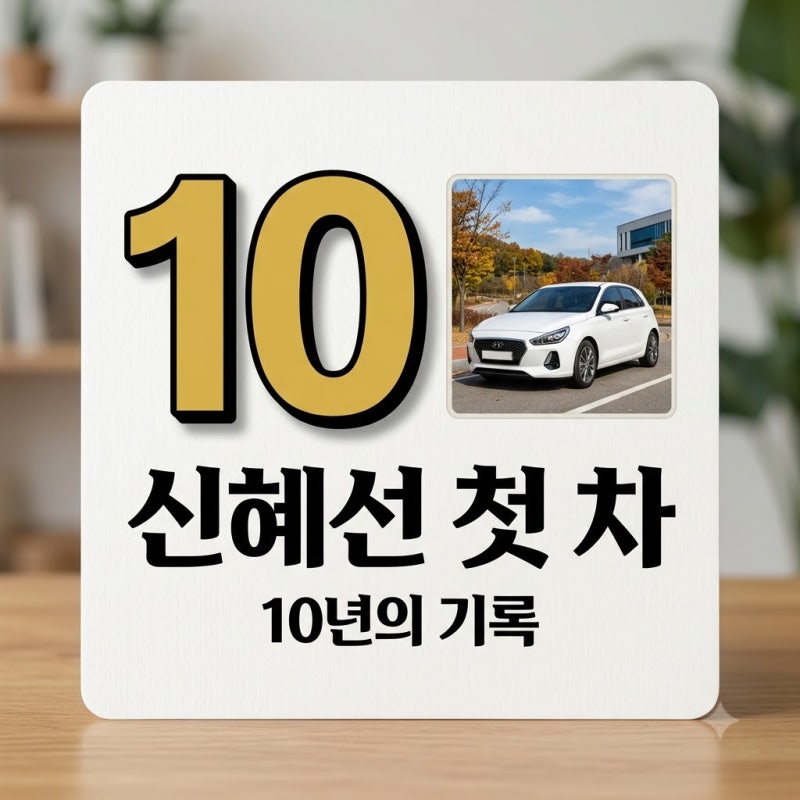 신혜선 10년 탄 1천만원대 첫 차 기아 올 뉴 프라이드 화제 이유