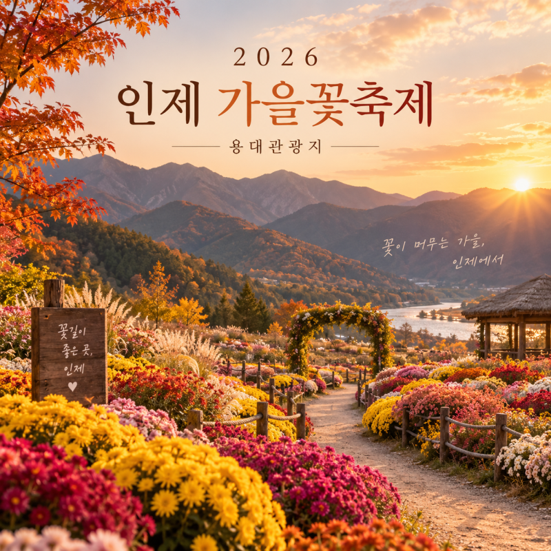 2026 인제 가을꽃축제 일정 주차 입장료 개화상황 인제시티투어예약방법 박인환 낭만정원 총....