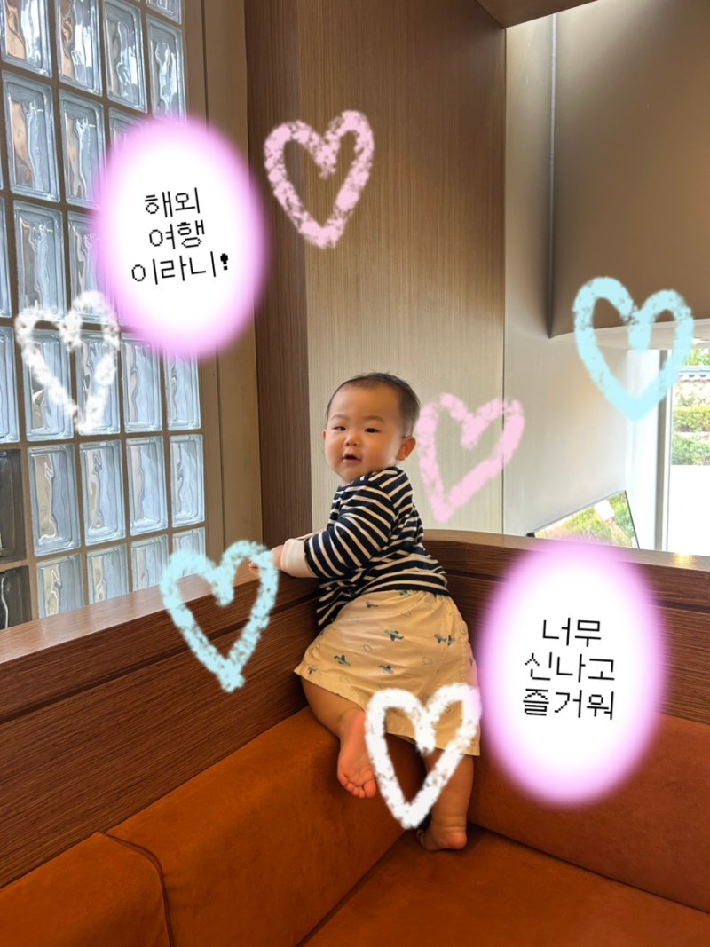 10개월 아기랑 나트랑｜입국 패스트트랙·공항픽업 예약 후기, 깜란공항 혼잡도 체크 방법(사....