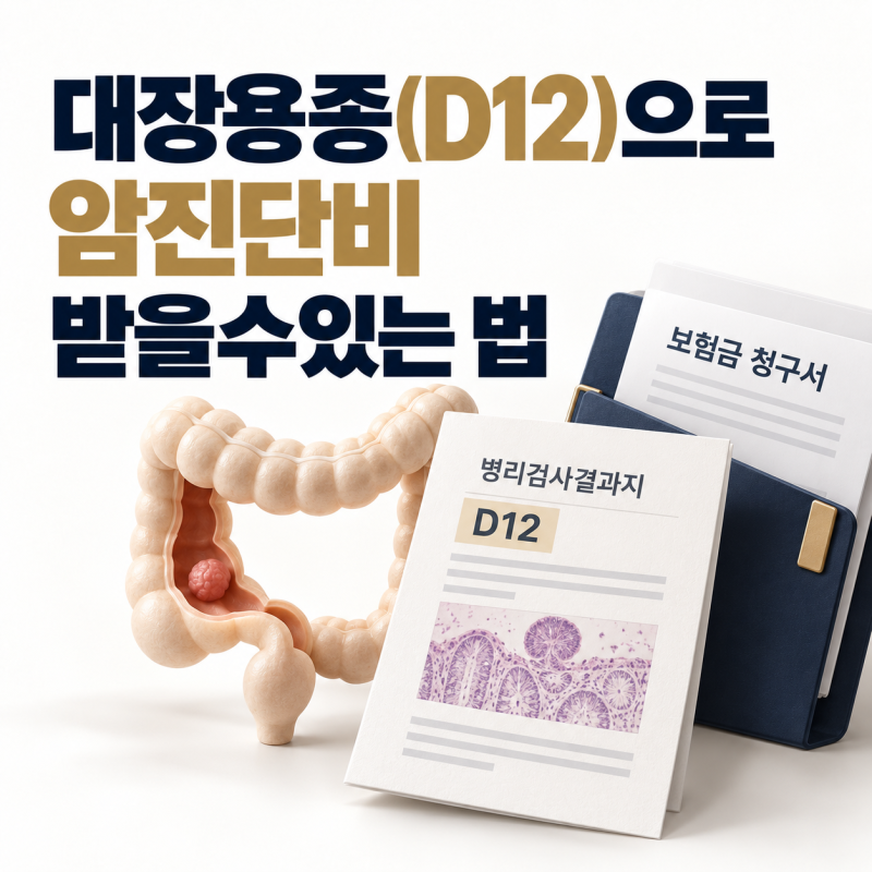 대장용종(D12)으로 암진단비 받을수있는 법