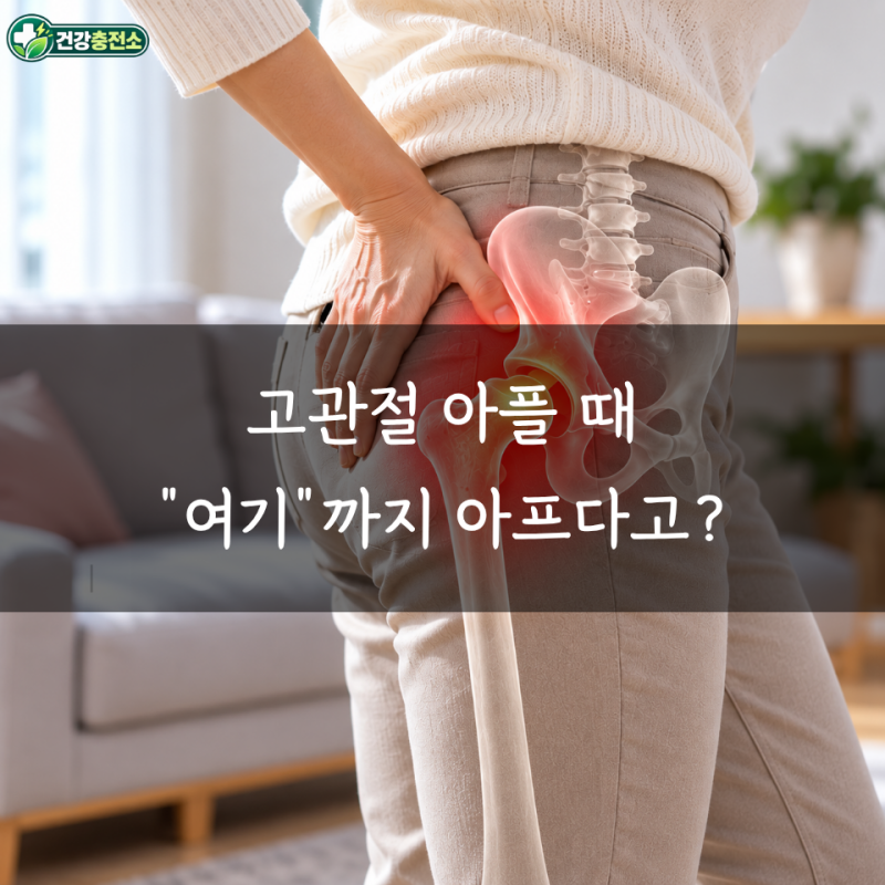 고관절 통증 vs 허리 통증, 걸을 때 아픈 위치를 보면 차이가 있을까?
