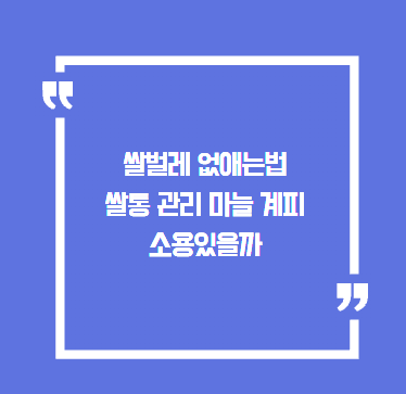 쌀벌레 없애는법 쌀통 관리 마늘 계피 소용있을까