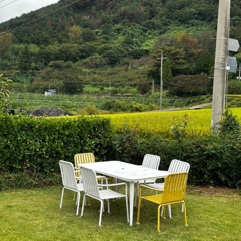 실내 애견동반 가능한 하동 카페 정서리