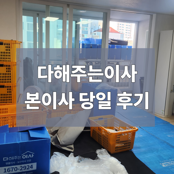 [보관이사]한달 보관이사 후기 : 다해주는이사 본이사 당일 소요시간 및 꿀팁
