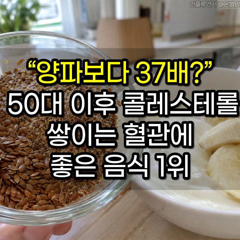 “양파보다 37배?” 50대 이후 콜레스테롤 쌓이는 혈관에 좋은 음식 1위