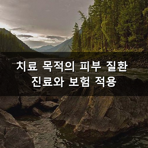 피부과 실비 청구는 어떻게 해야 할까? 놓치기 쉬운 조건과 기준