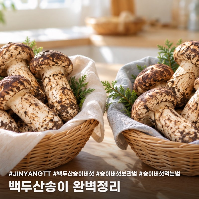 백두산송이버섯은 중국산일까? 국산, 티베트산과 차이점부터 맛있게 먹는법까지