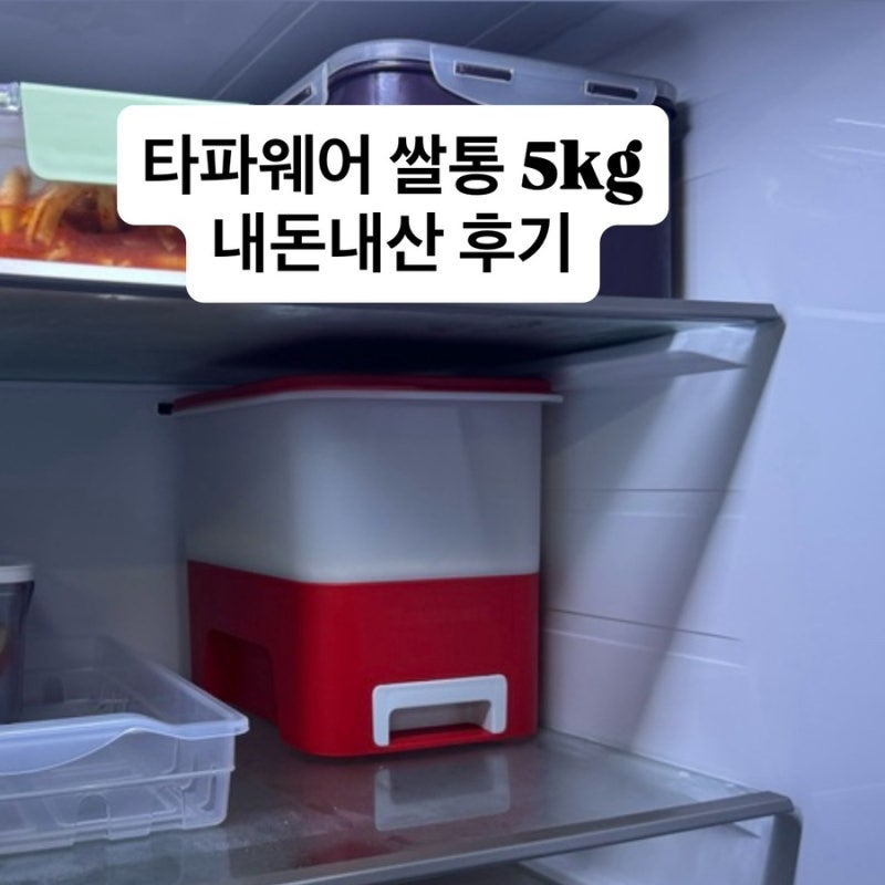 [내돈내산] 타파웨어 스마트 주니어 키퍼 쌀통 5kg 조립 방법 및 후기