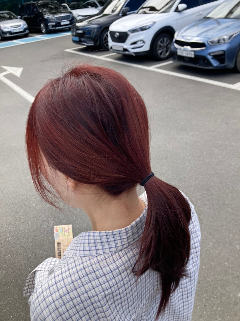 어딘가 이상한 가을맞이 레드브라운염색 로레알파리 엑셀랑스 노암모니아 6.66호 퓨어 레드....