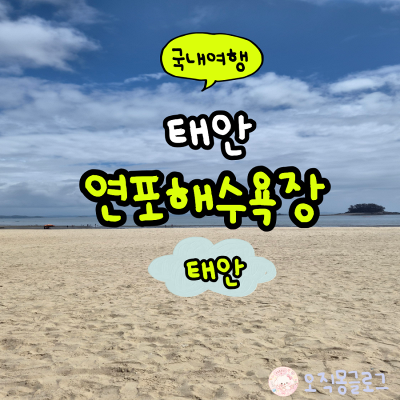 태안 신진항과 가까운 해루질 '연포해수욕장' 후기
