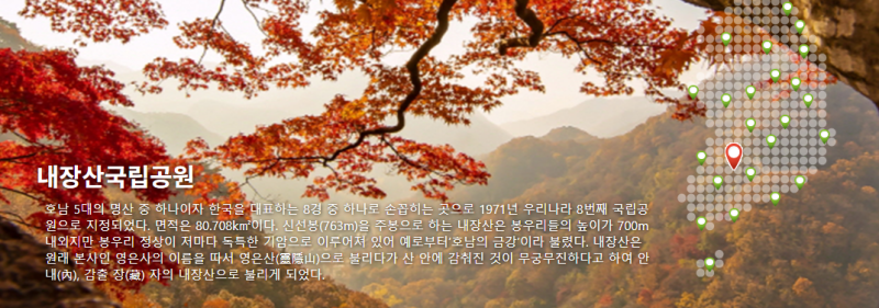 “2026 내장산 단풍여행 11월 7~8일 절정 예상! 행사·교통·주차·단풍터널 한눈에 보기”#내장....