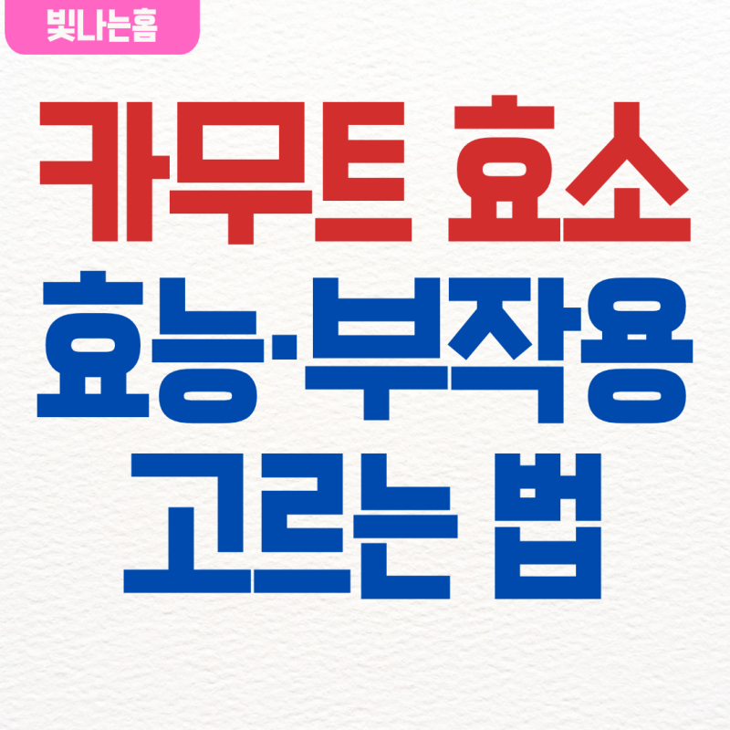 [건강정보] 카무트 효소란? 효능과 부작용, 제대로 고르는 법
