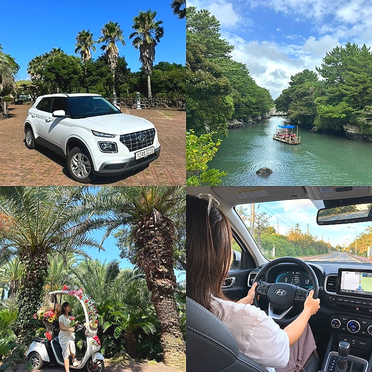 제주도 렌트카 추천 차렌트 자차 돌하루팡 제주 공항 렌트카 가격비교