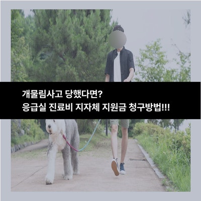 반려견·길거리 개에 물렸다면?지자체 시민안전보험 응급실 진료비 보장 및 실전 청구 방법