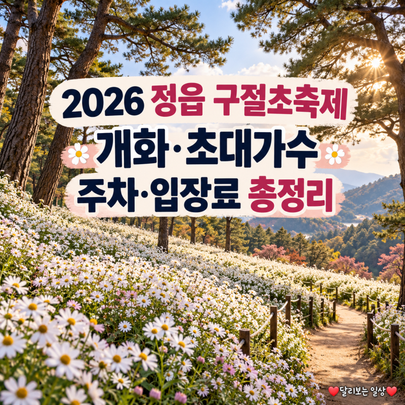 2026 정읍 구절초축제 개화시기·절정, 초대가수·주차·입장료 총정리