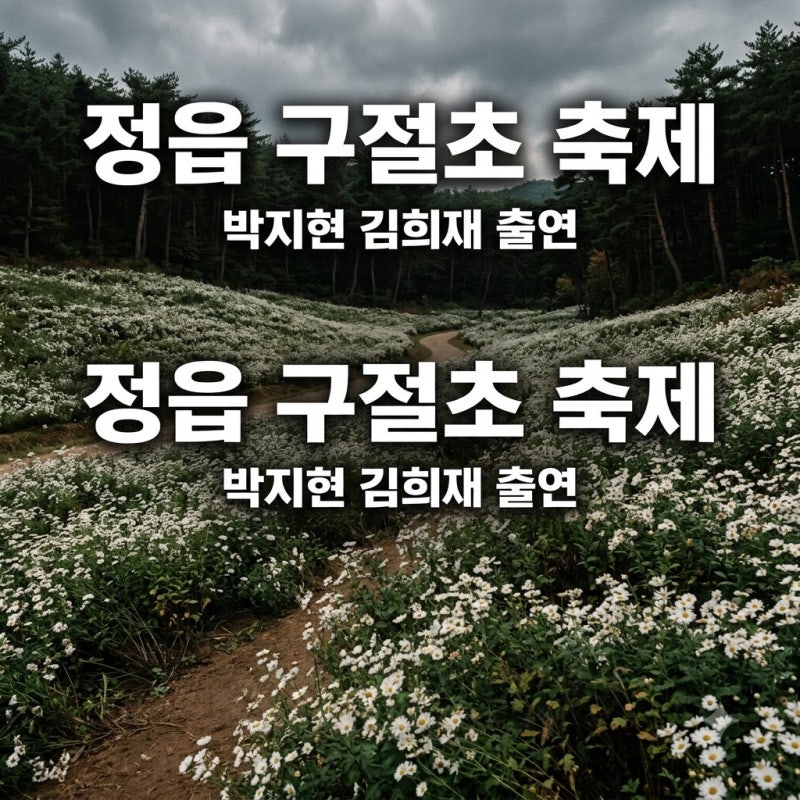 "박지현·김희재 온다고?".. 15만 평 꽃밭 난리 난 정읍 축제의 정체
