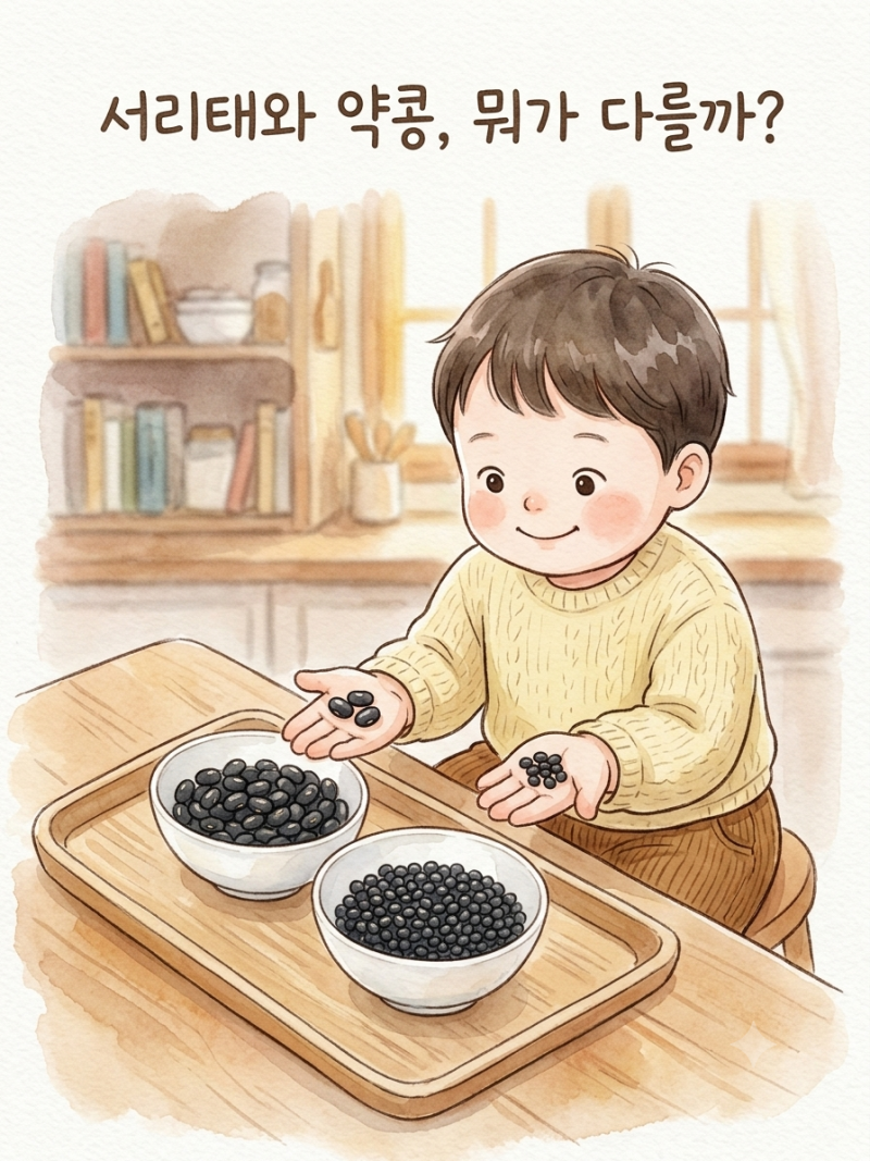 약콩(쥐눈이콩)과 서리태 뭐가 다를까? 알고 먹어야 더 좋은 콩이야기