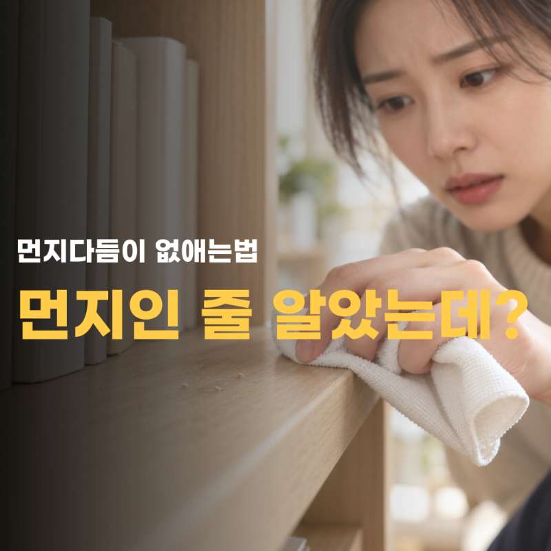 먼지다듬이 없애는 법 닦았는데 또 보인다면 어디를 봐야 할까
