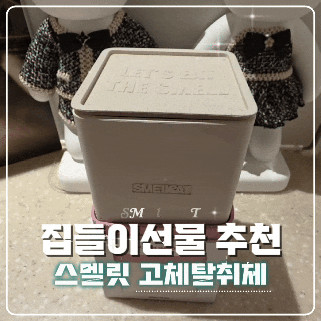 집들이선물추천 집안냄새제거에 좋은 스멜릿 고체탈취제 내돈내산