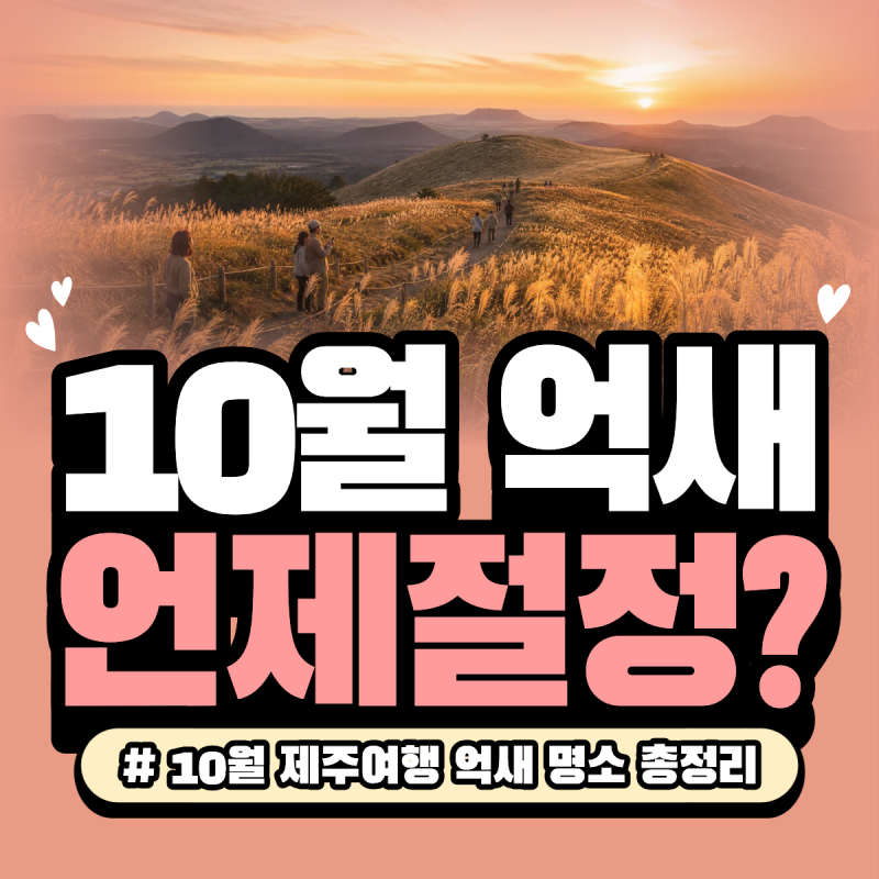 10월 제주도 억새, 언제 가야 가장 예쁠까?｜제주 억새 명소와 절정 시기 총정리 ⭐