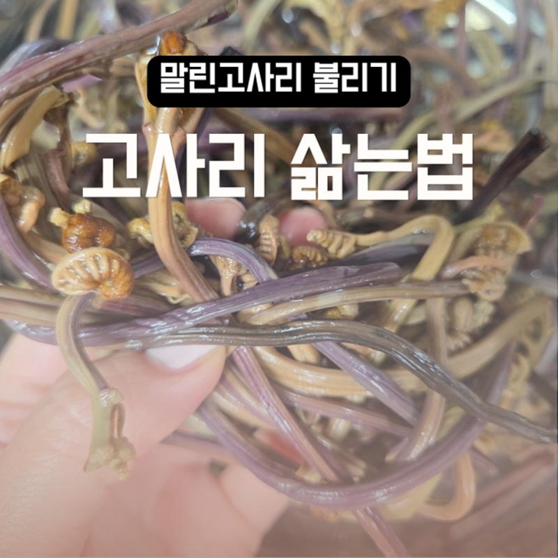 고사리 삶는법 및 말린고사리 불리기