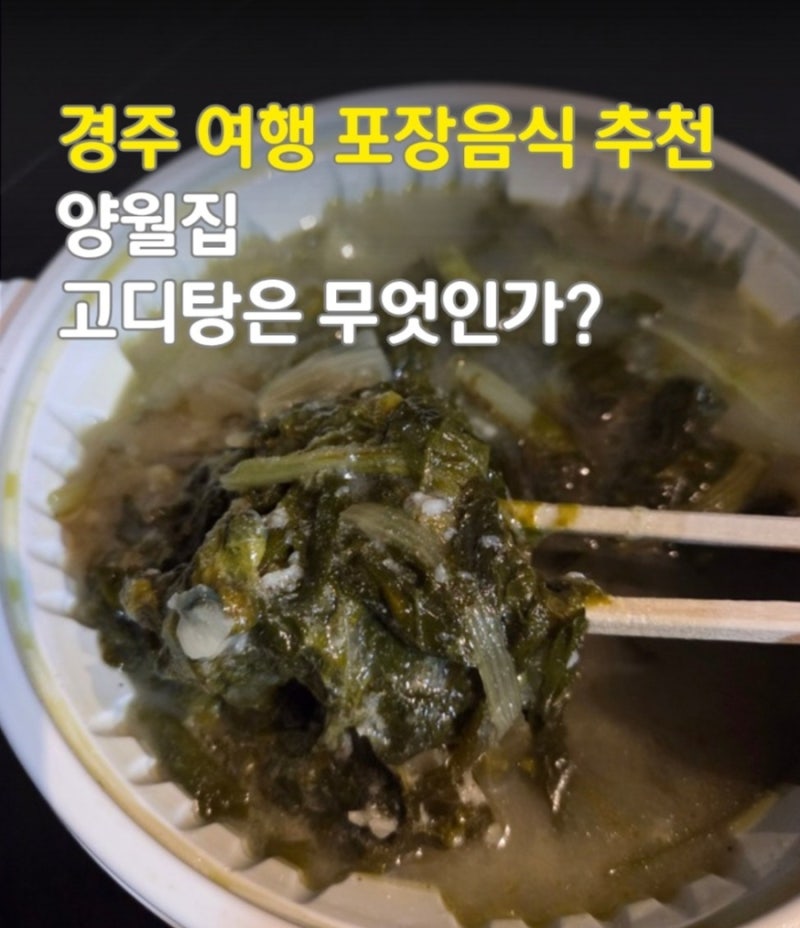 경주 용강동 맛집 아기랑 여행 양월집 고디탕 포장 후기(경주 육개장)