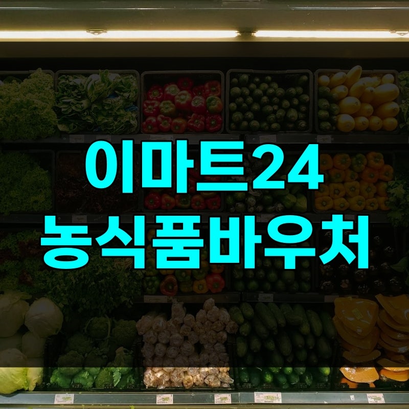이마트24 농식품바우처 편의점 사용 품목과 사용처, 카드 내밀었다 거절당하는 3가지 조건