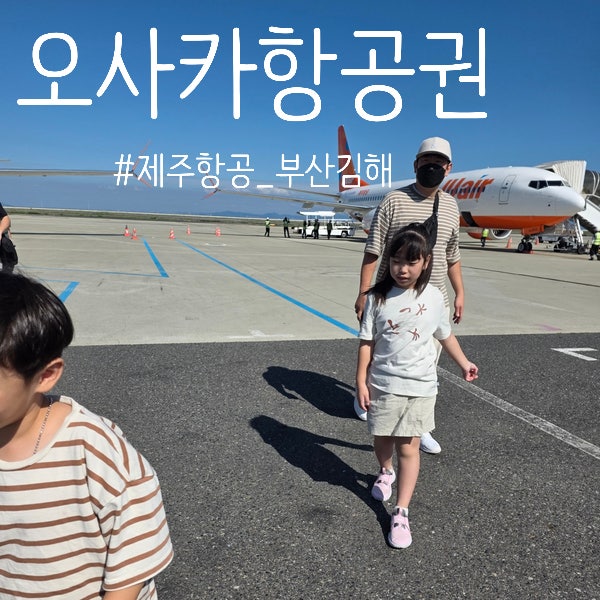 Busan Gimhae to Osaka Air Tickets: Average Prices and How to Find Special Deals (by Jeju Air)