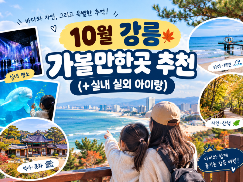 10월 강릉 가볼만한곳 추천｜아이랑 가기 좋은 실내·실외 여행지 12곳