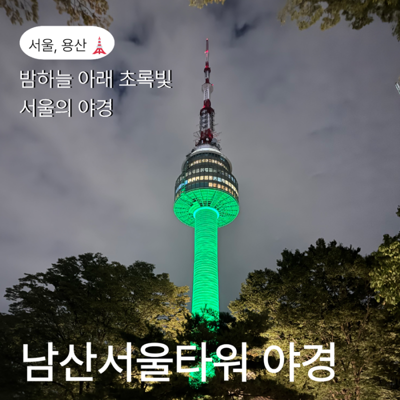 [남산타워 가는법 3가지] 케이블카 대기시간·야경 후기 (자물쇠&모기 꿀팁)