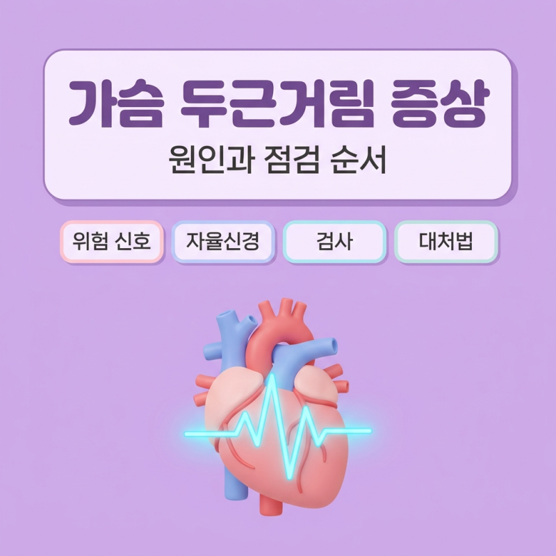가슴 두근거림 증상, 원인과 자율신경 점검법 정리