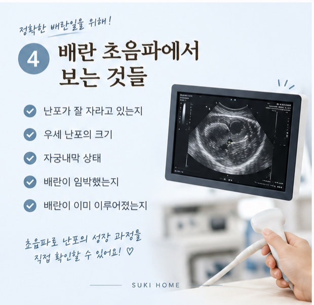 배란 초음파 언제 받을까?｜생리 시작일부터 계산하는 방법