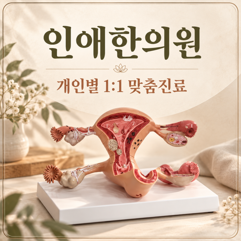 부산자궁경부이형성증한의원 인유두종바이러스 치료 인애한의원 자궁면역보강추천