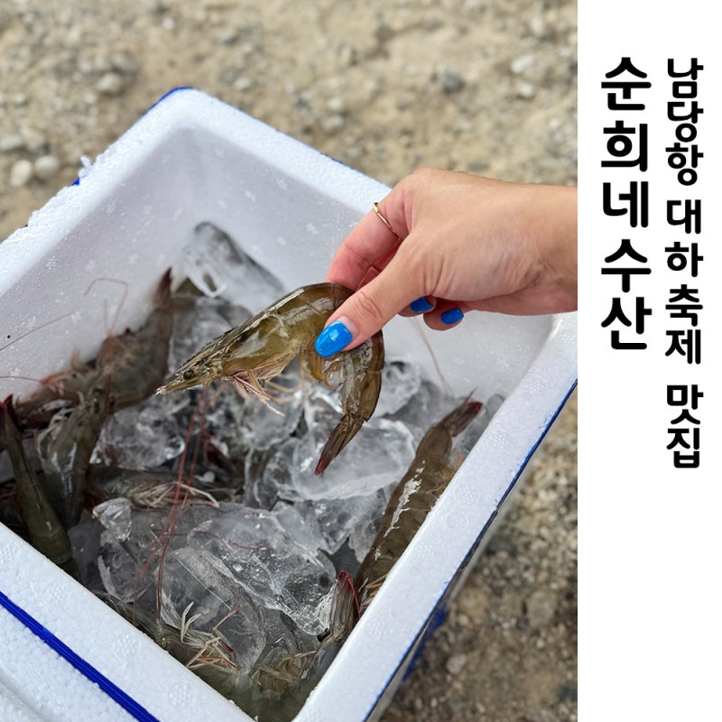 2026 홍성 남당항 대하축제 맛집 순희네수산
