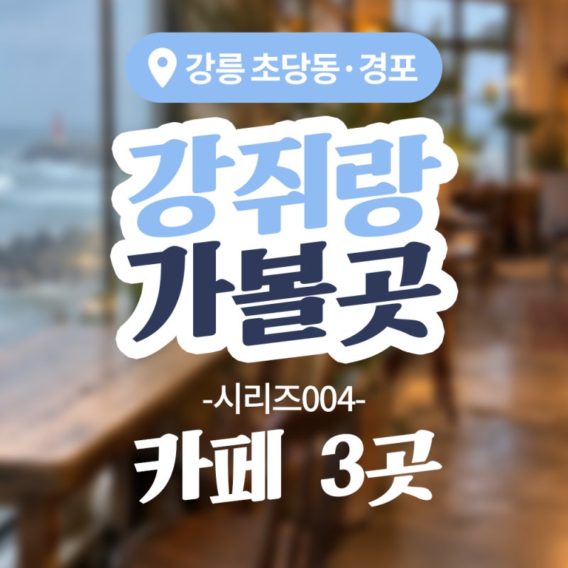 강릉 강아지 동반 카페 3곳, 안목·강문·사천진 해변 따라 고른 정원·펫룸·오션뷰