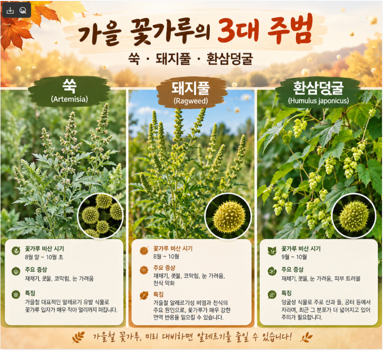 아침마다 재채기, 감기약 먹어도 안 낫는다면: 가을 '알레르기 비염' 완전 정리