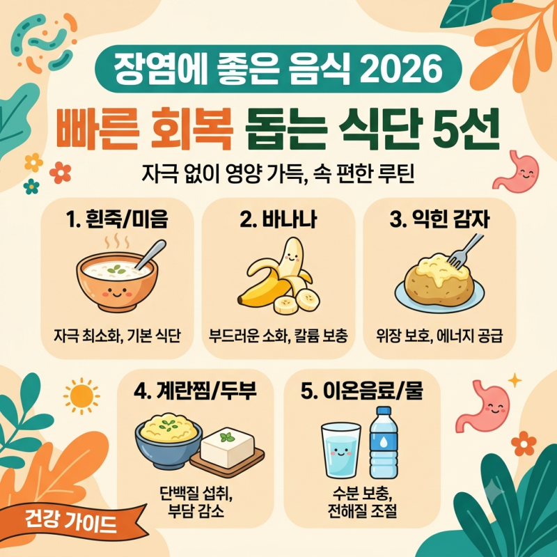 장염에 좋은 음식 2026 빠른 회복 돕는 식단 5선