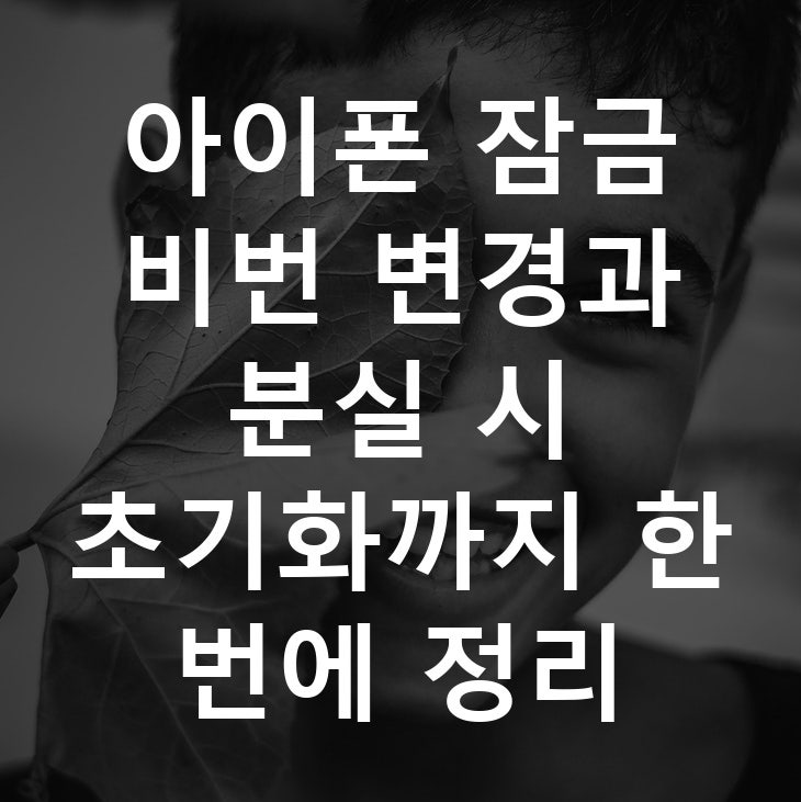 아이폰 잠금 비번 변경과 분실 시 초기화까지 한 번에 정리