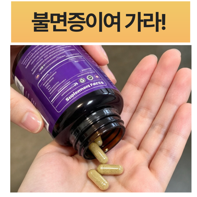 어스빌 테아닌 아쉬아간다 수면 보조제도 효과가 있을까?