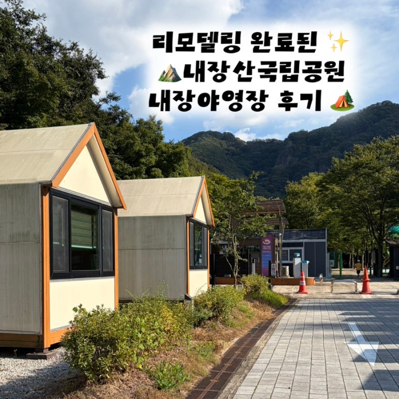 ️내장산국립공원 내장야영장 7번, 12번 데크 후기 (명당추천/샤워장,개수대,화장실 사진O)
