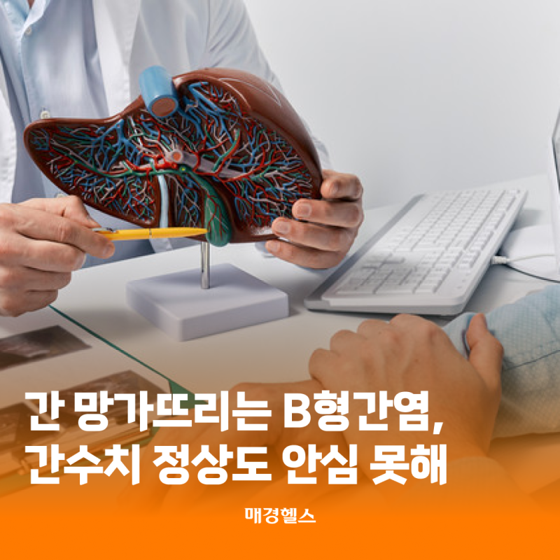 조용히 간 망가뜨리는 B형간염…간수치 정상이어도 안심 못해