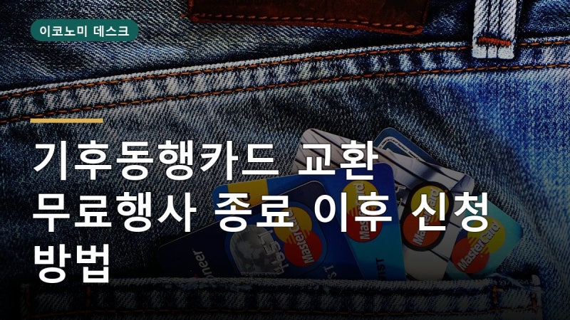 기후동행카드 무료 교환 끝나면 어떻게? 10월부터 신청 방법 달라집니다
