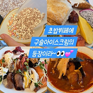 대구 북구 침산동 초밥 맛집 쿠우쿠우｜스시부터 디저트까지 완벽했다