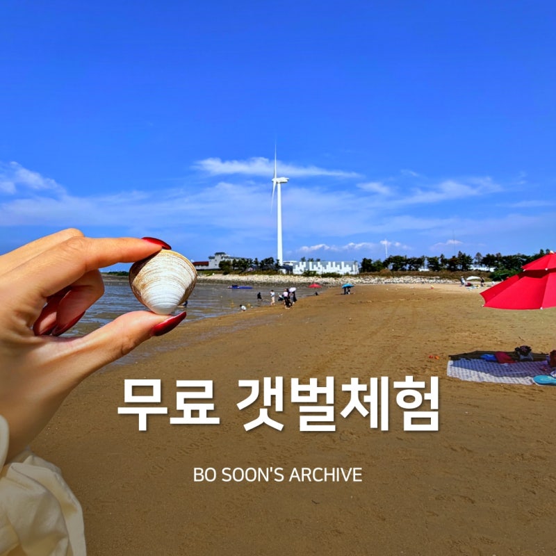 서울 근교 바다 대부도 당일치기 여행 방아머리해변 해수욕장 갯벌체험 물때 시간